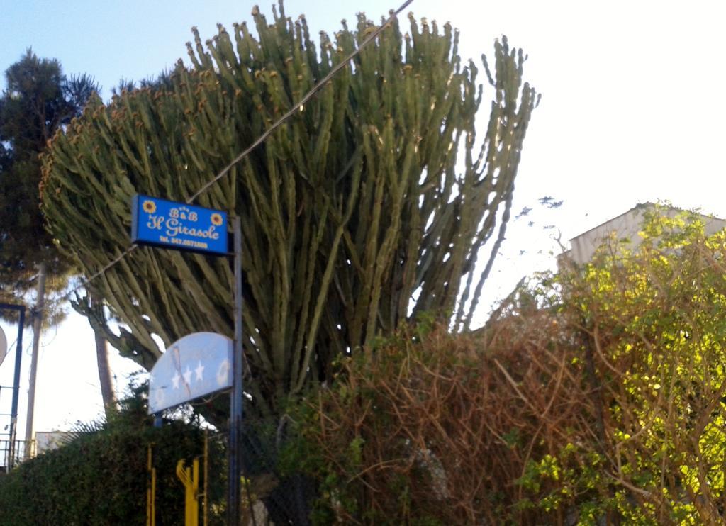B&B Il Girasole Noto Eksteriør bilde