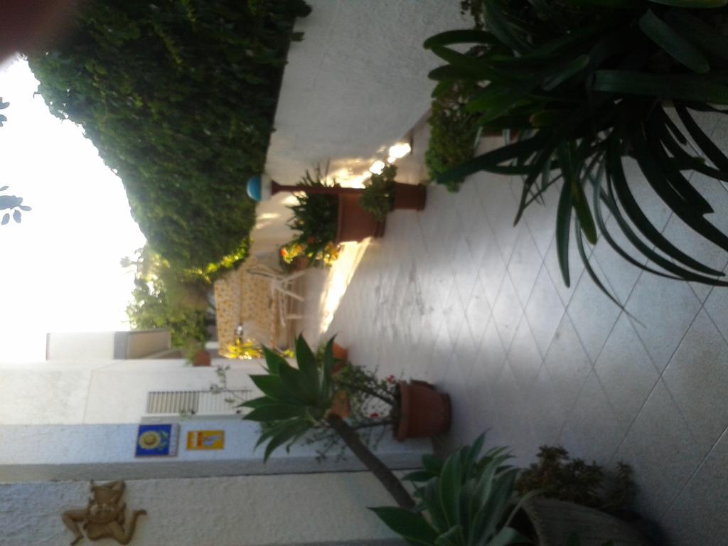 B&B Il Girasole Noto Eksteriør bilde