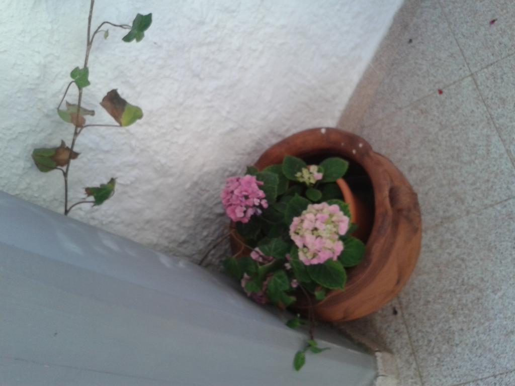 B&B Il Girasole Noto Eksteriør bilde