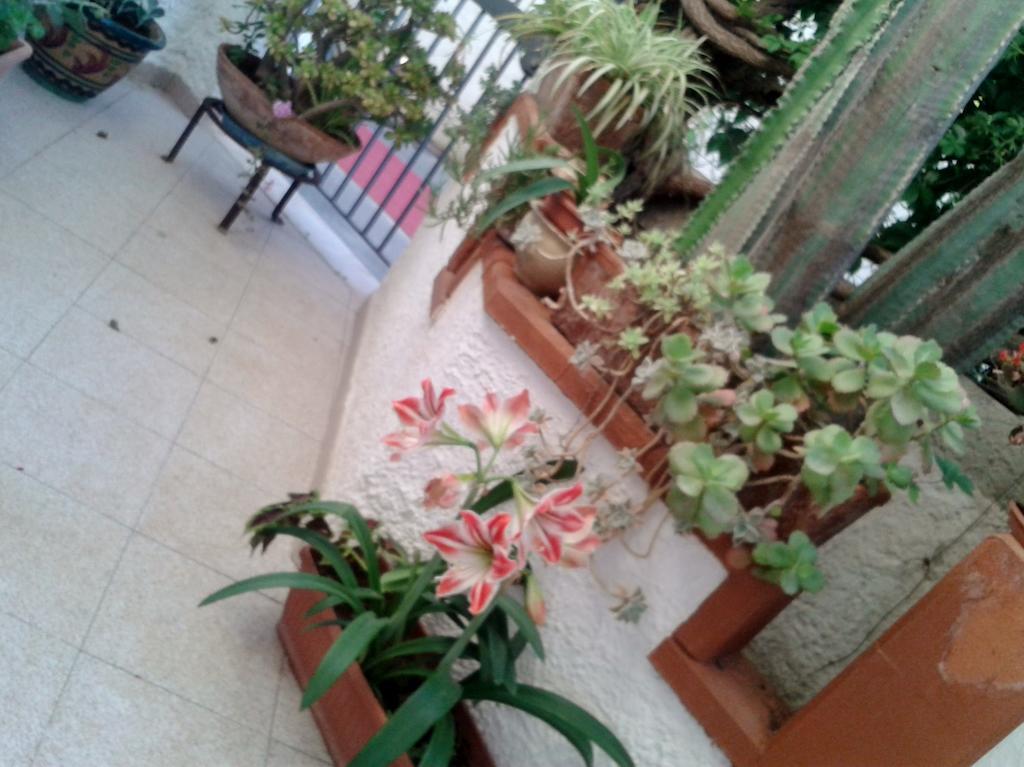 B&B Il Girasole Noto Eksteriør bilde